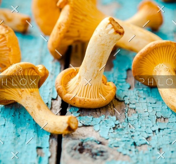 demo-attachment-1548-fresh-chanterelle-mushrooms-on-a-wooden-P5YD4CZ@2x